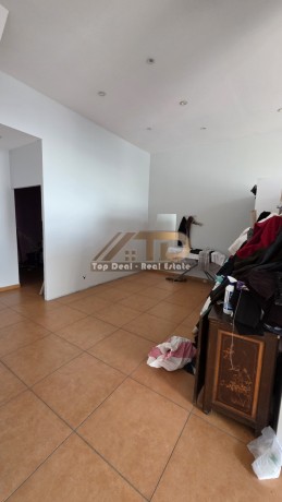 shitet-dyqani-ne-shetitorja-e-palmave-lushnje-kati-0-big-7