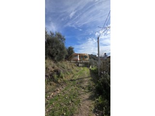 SHITET TOKE ULLISHTE PRANE RRETHROTULLIMIT TE PLASMASIT LUSHNJE QYTET