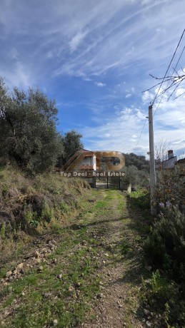 shitet-toke-ullishte-prane-rrethrotullimit-te-plasmasit-lushnje-qytet-big-0