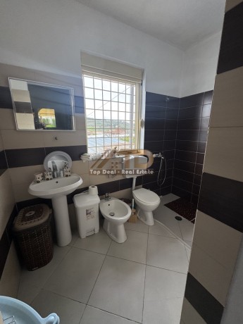 vile-ne-shitje-golem-lushnje-big-14