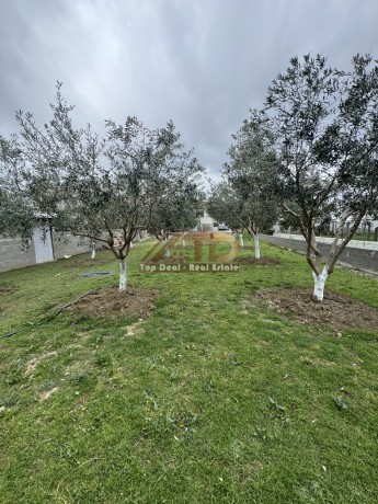 vile-ne-shitje-golem-lushnje-big-17