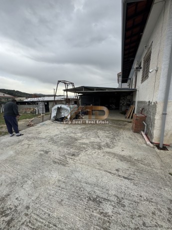 vile-ne-shitje-golem-lushnje-big-15