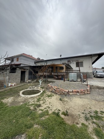 vile-ne-shitje-golem-lushnje-big-18