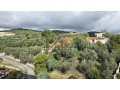 shitet-apartament-22-bulevardi-palmave-lushnje-small-10