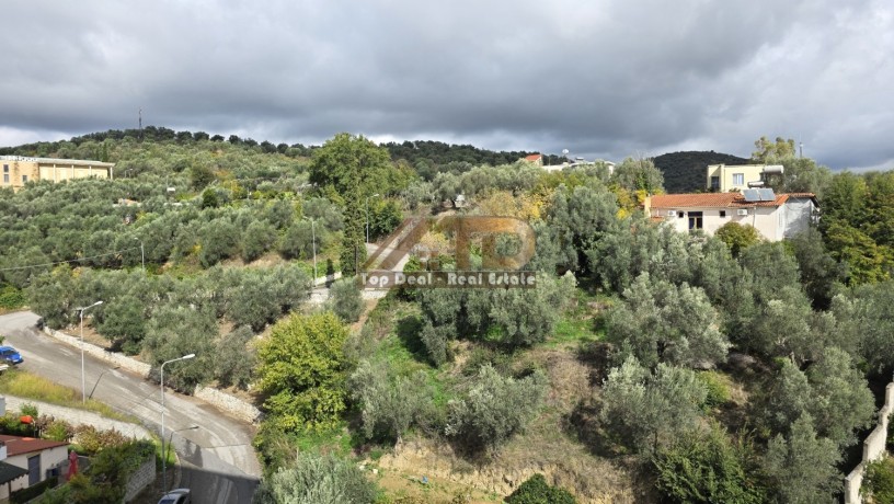 shitet-apartament-22-bulevardi-palmave-lushnje-big-10