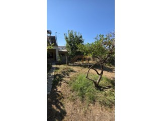 SHITET SHTEPI PRIVATE PRANE SPITALIT LUSHNJE