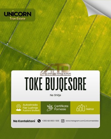 toke-ne-shitje-vije-e-pare-buze-autostrades-lushnje-fier-prane-pushimit-te-shoferit-big-0