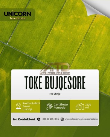 shitet-toke-bujqesore-rrethrrotullimi-berat-fier-lushnje-tirane-big-0