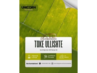SHITET TOKË  ULLISHTE NË ALLPRENAJ  LUSHNJE