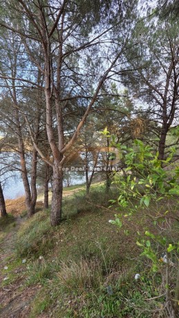 shitet-objekt-me-truall-ne-kasharaj-lushnje-i-pozicionuar-shume-prane-liqenit-rezervuarit-4-km-nga-qendra-e-qytetit-te-lushnjes-big-6