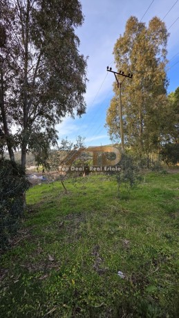 shitet-objekt-me-truall-ne-kasharaj-lushnje-i-pozicionuar-shume-prane-liqenit-rezervuarit-4-km-nga-qendra-e-qytetit-te-lushnjes-big-2