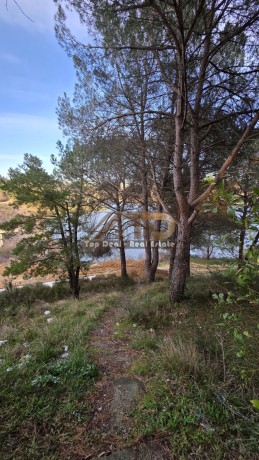 shitet-objekt-me-truall-ne-kasharaj-lushnje-i-pozicionuar-shume-prane-liqenit-rezervuarit-4-km-nga-qendra-e-qytetit-te-lushnjes-big-5