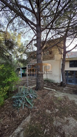 shitet-objekt-me-truall-ne-kasharaj-lushnje-i-pozicionuar-shume-prane-liqenit-rezervuarit-4-km-nga-qendra-e-qytetit-te-lushnjes-big-4