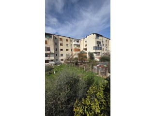 SHITET TRUALL DHE NDERTES NE QYTET NE LUSHNJE