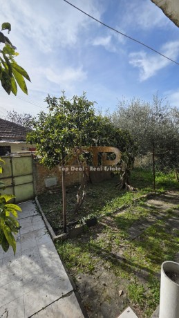 shitet-truall-dhe-ndertes-ne-qytet-ne-lushnje-big-5