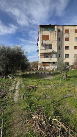 shitet-truall-dhe-ndertes-ne-qytet-ne-lushnje-big-12