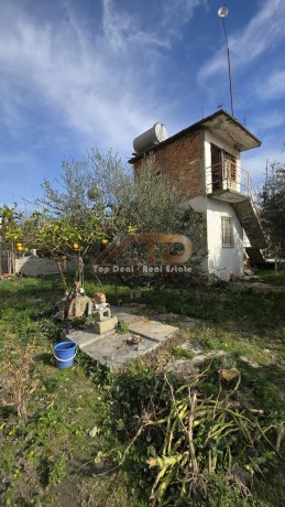 shitet-truall-dhe-ndertes-ne-qytet-ne-lushnje-big-14