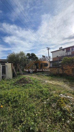 shitet-truall-dhe-ndertes-ne-qytet-ne-lushnje-big-16