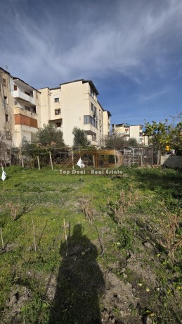 shitet-truall-dhe-ndertes-ne-qytet-ne-lushnje-big-13