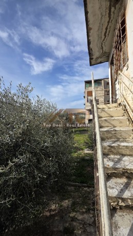 shitet-truall-dhe-ndertes-ne-qytet-ne-lushnje-big-4