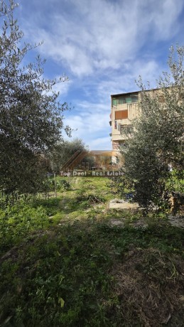 shitet-truall-dhe-ndertes-ne-qytet-ne-lushnje-big-7