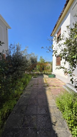 shitet-shtepi-private-ndodhur-prane-kadastres-lushnje-big-5