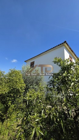 shitet-shtepi-private-ndodhur-prane-kadastres-lushnje-big-12