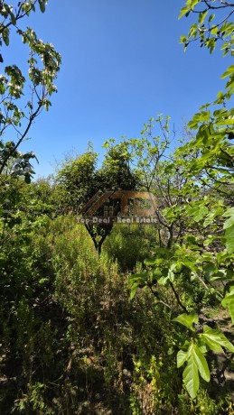 shitet-shtepi-private-ndodhur-prane-kadastres-lushnje-big-14