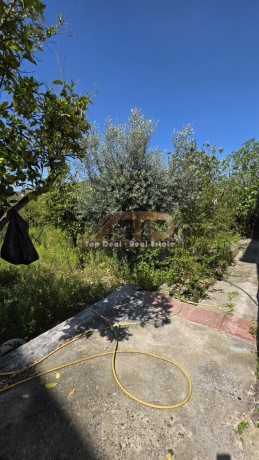 shitet-shtepi-private-ndodhur-prane-kadastres-lushnje-big-8